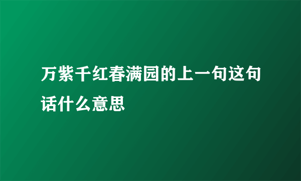 万紫千红春满园的上一句这句话什么意思