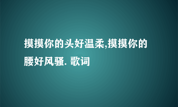 摸摸你的头好温柔,摸摸你的腰好风骚. 歌词