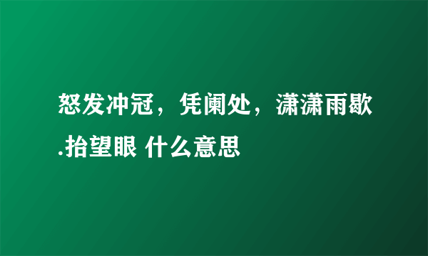 怒发冲冠，凭阑处，潇潇雨歇.抬望眼 什么意思