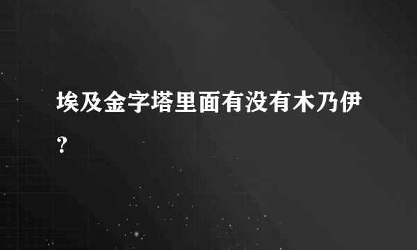 埃及金字塔里面有没有木乃伊？