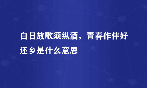 白日放歌须纵酒，青春作伴好还乡是什么意思