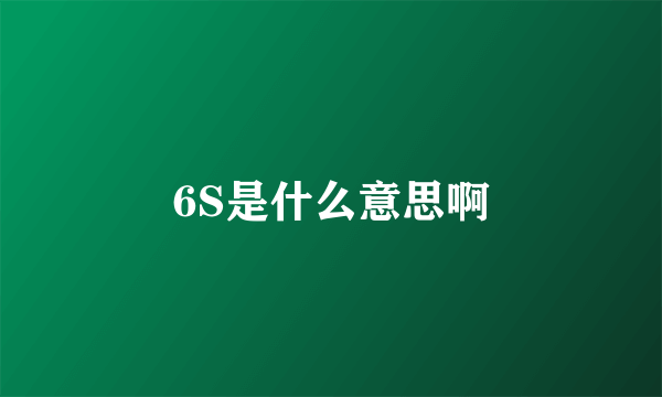 6S是什么意思啊