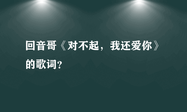 回音哥《对不起，我还爱你》的歌词？