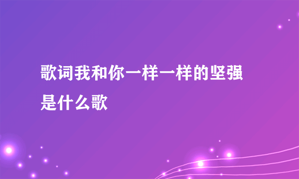 歌词我和你一样一样的坚强 是什么歌