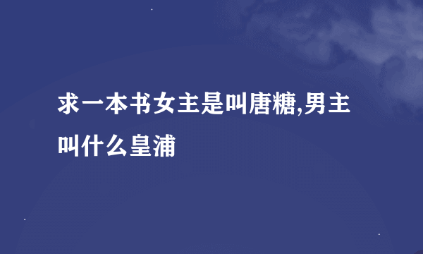 求一本书女主是叫唐糖,男主叫什么皇浦