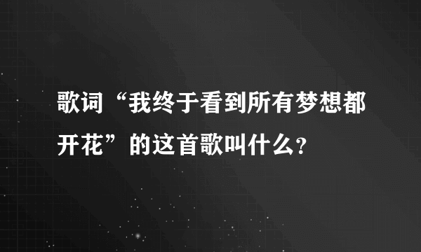 歌词“我终于看到所有梦想都开花”的这首歌叫什么？