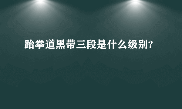 跆拳道黑带三段是什么级别?