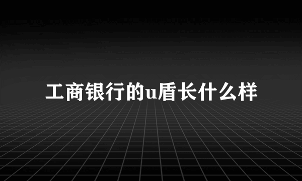 工商银行的u盾长什么样