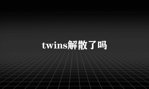 twins解散了吗