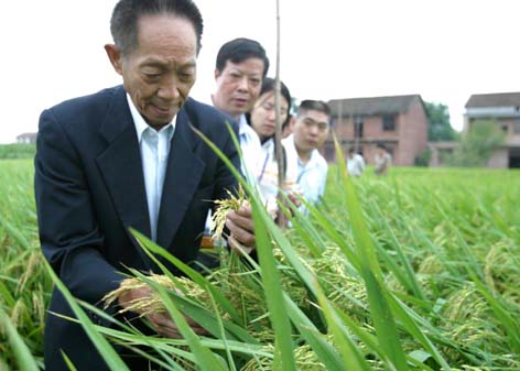 杂交水稻之父袁隆平遗照确定，他的丧礼是否会隆重举行？