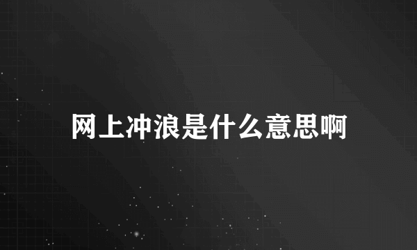 网上冲浪是什么意思啊