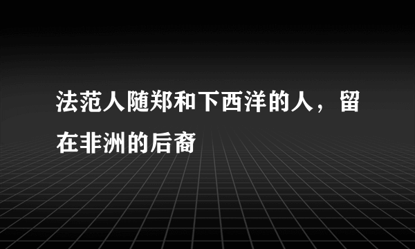 法范人随郑和下西洋的人，留在非洲的后裔