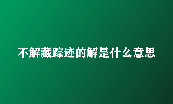 不解藏踪迹的解是什么意思