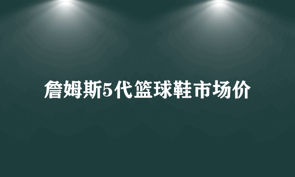 詹姆斯5代篮球鞋市场价