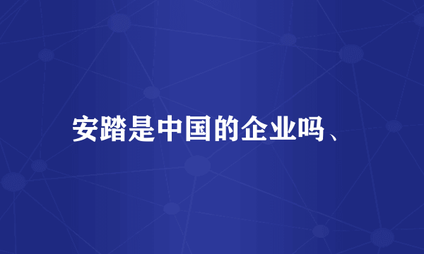 安踏是中国的企业吗、