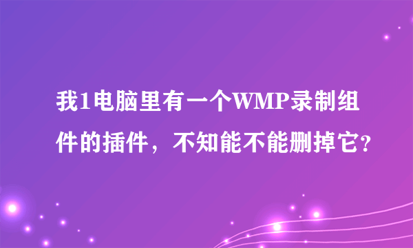 我1电脑里有一个WMP录制组件的插件，不知能不能删掉它？