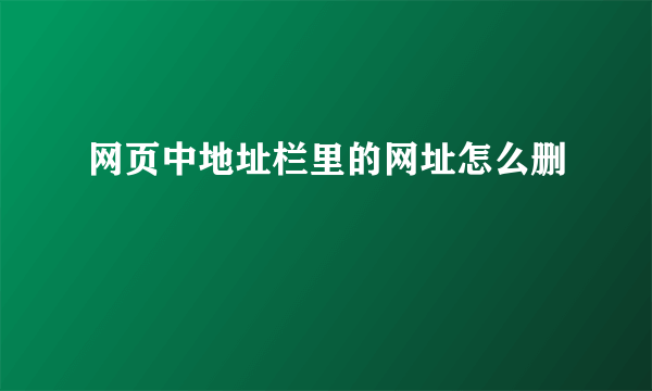 网页中地址栏里的网址怎么删