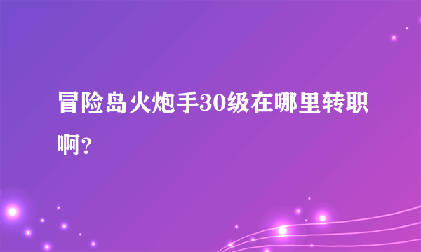 冒险岛火炮手30级在哪里转职啊？