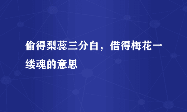 偷得梨蕊三分白，借得梅花一缕魂的意思