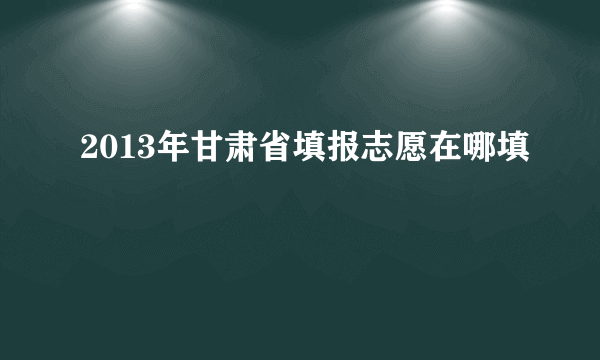 2013年甘肃省填报志愿在哪填