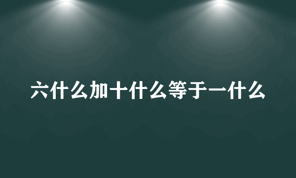 六什么加十什么等于一什么