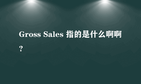 Gross Sales 指的是什么啊啊？