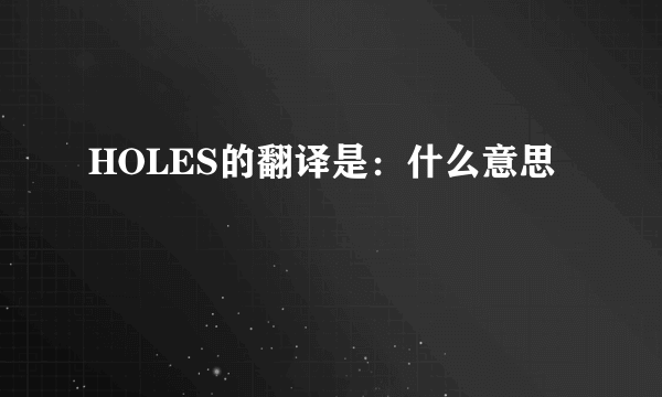 HOLES的翻译是：什么意思