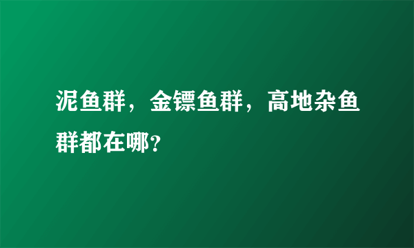 泥鱼群，金镖鱼群，高地杂鱼群都在哪？