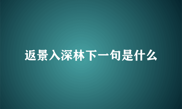 返景入深林下一句是什么