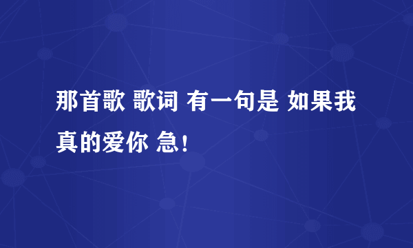 那首歌 歌词 有一句是 如果我真的爱你 急！