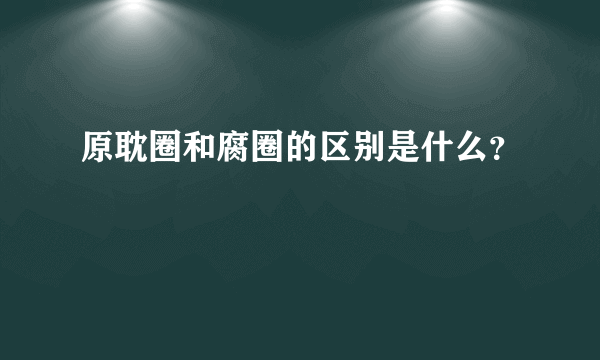 原耽圈和腐圈的区别是什么？