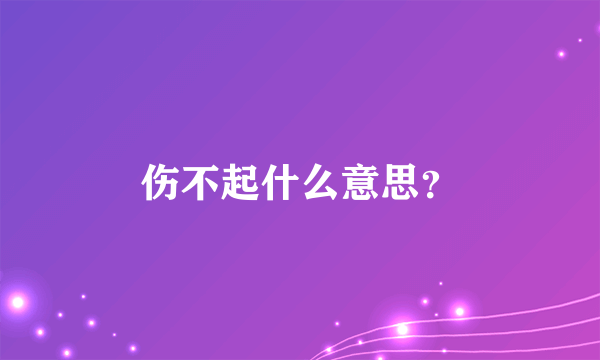 伤不起什么意思？