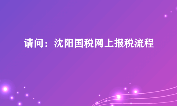 请问：沈阳国税网上报税流程