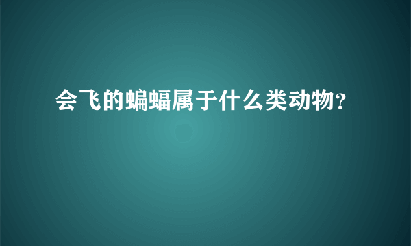 会飞的蝙蝠属于什么类动物？