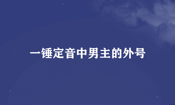 一锤定音中男主的外号