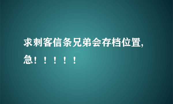 求刺客信条兄弟会存档位置,急！！！！！