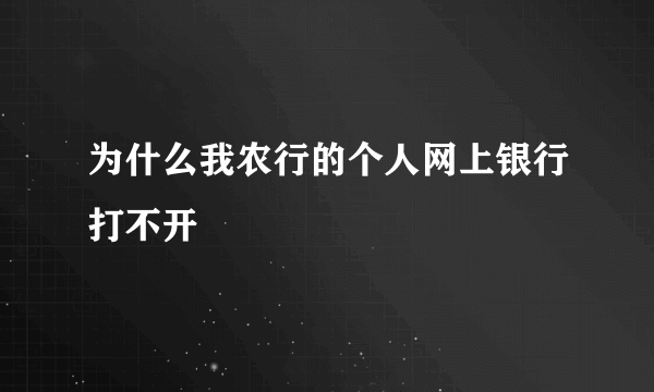 为什么我农行的个人网上银行打不开