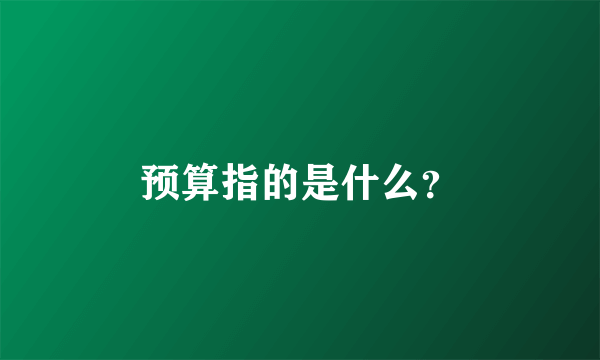 预算指的是什么？