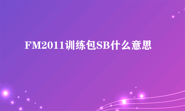 FM2011训练包SB什么意思