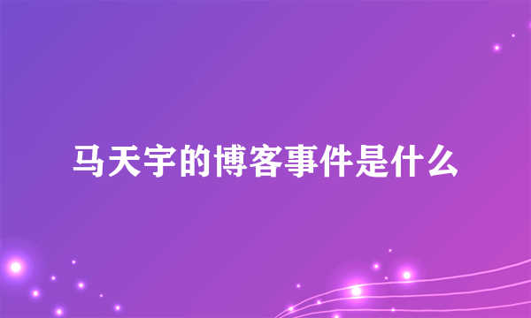 马天宇的博客事件是什么