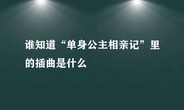 谁知道“单身公主相亲记”里的插曲是什么