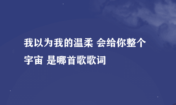 我以为我的温柔 会给你整个宇宙 是哪首歌歌词