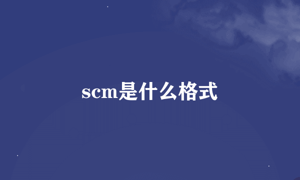 scm是什么格式