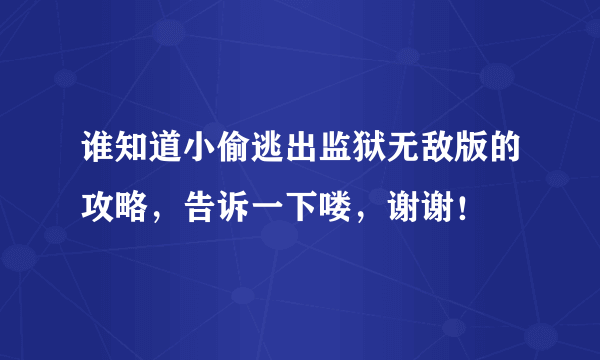 谁知道小偷逃出监狱无敌版的攻略，告诉一下喽，谢谢！