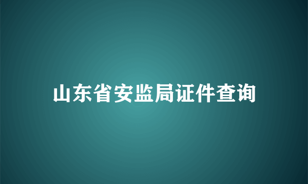 山东省安监局证件查询