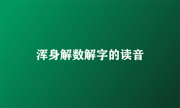 浑身解数解字的读音