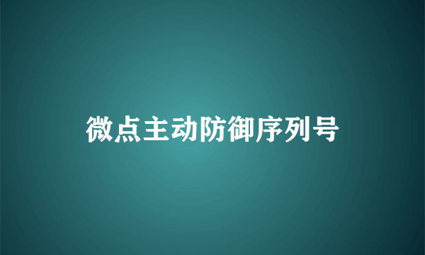 微点主动防御序列号