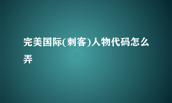 完美国际(刺客)人物代码怎么弄