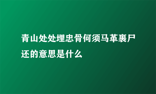 青山处处埋忠骨何须马革裹尸还的意思是什么