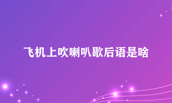 飞机上吹喇叭歇后语是啥